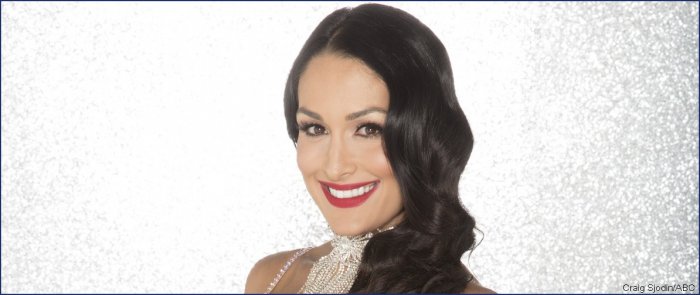 brie bella doll