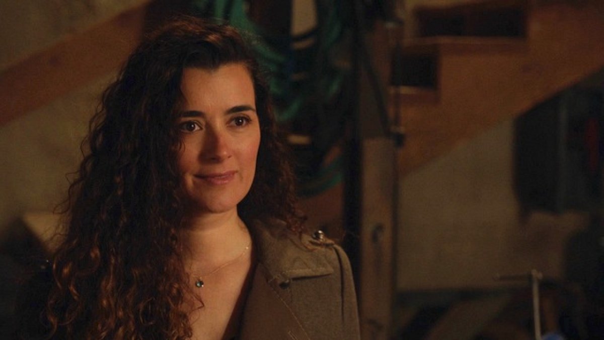 Ziva shown front and center in 'NCIS' Season 17 trailer Reality TV World