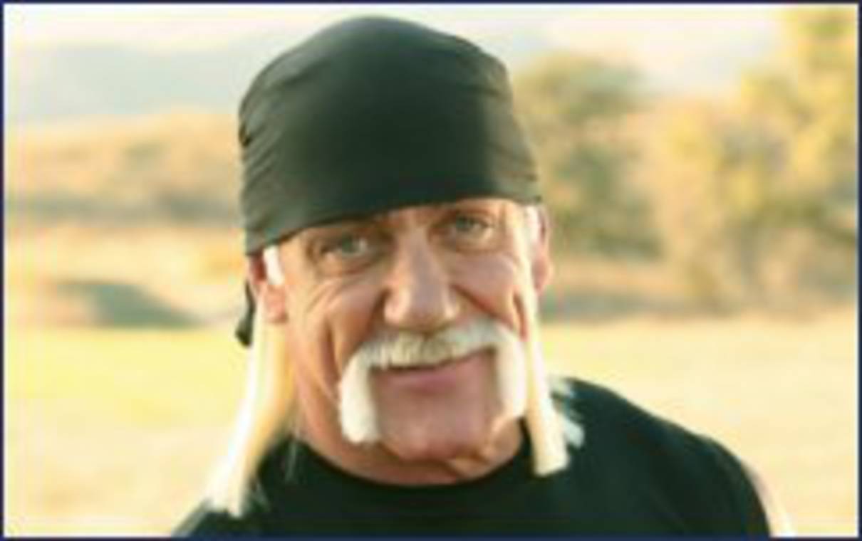 Hulk Hogan Settles Sex Tape Lawsuit Against Bubba The Love Sponge Reality Tv World